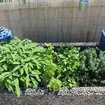 Con Terrazza A Due Minuti Dal Minusio