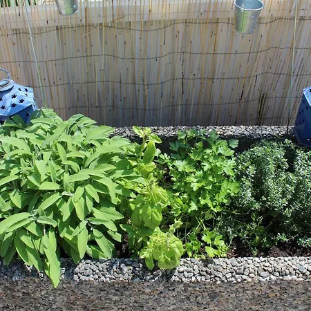 Con Terrazza A Due Minuti Dal Minusio