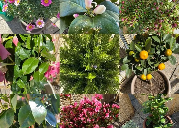 Con Terrazza A Due Minuti Dal