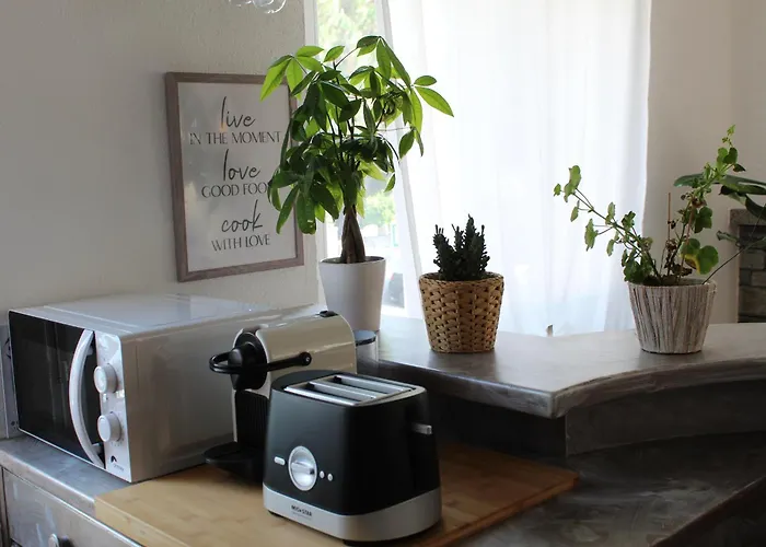 Apartmán Con Terrazza A Due Minuti Dal Minusio