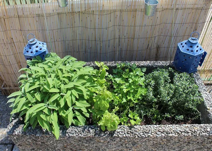 Con Terrazza A Due Minuti Dal Minusio