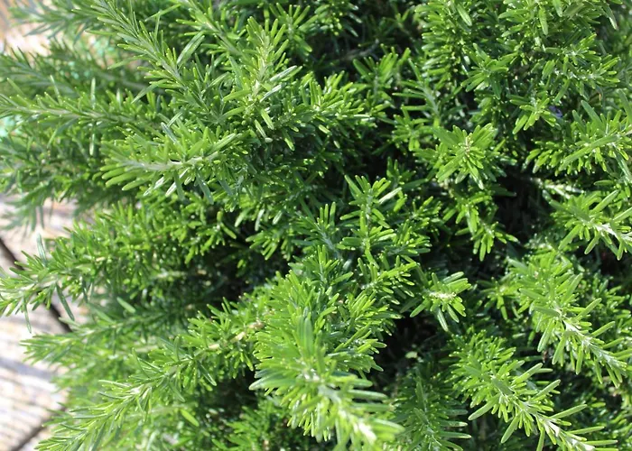 Con Terrazza A Due Minuti Dal Apartmán Minusio