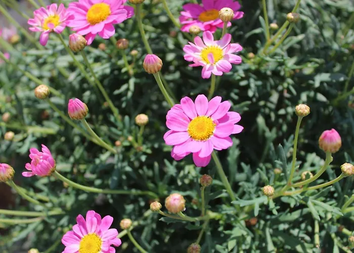 Con Terrazza A Due Minuti Dal *