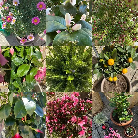 Con Terrazza A Due Minuti Dal