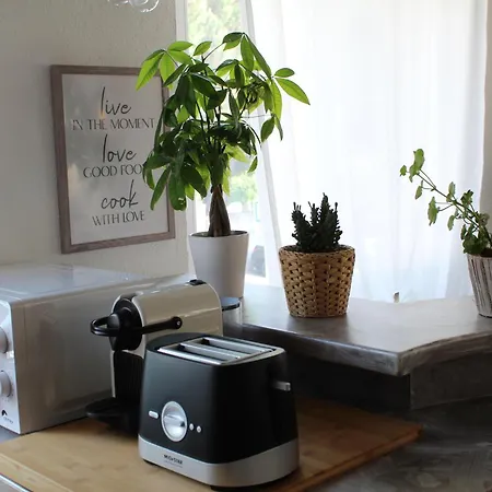 Appartamento Con Terrazza A Due Minuti Dal Minusio