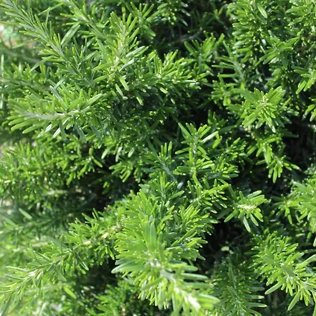 Con Terrazza A Due Minuti Dal Appartamento Minusio